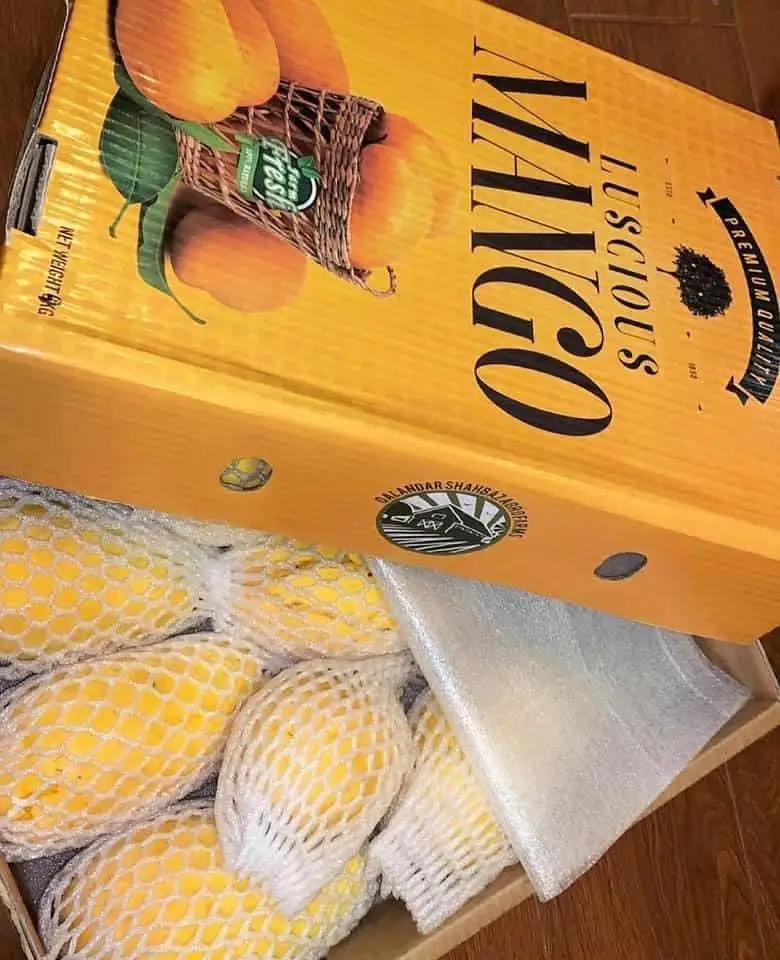 Pakistani Mango Fresh Premium Quality Available all Kind of Mango from Pakistan at wholesale Price with Customized logo