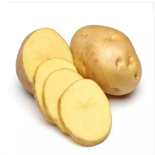 New crop of fresh potatoes for Export to the world high quality sweet potato low price top grade products