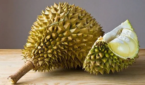 The King of Fruits Tropical Fruit Frozen Durian Ri6 And Monthong with competitive Price Akina