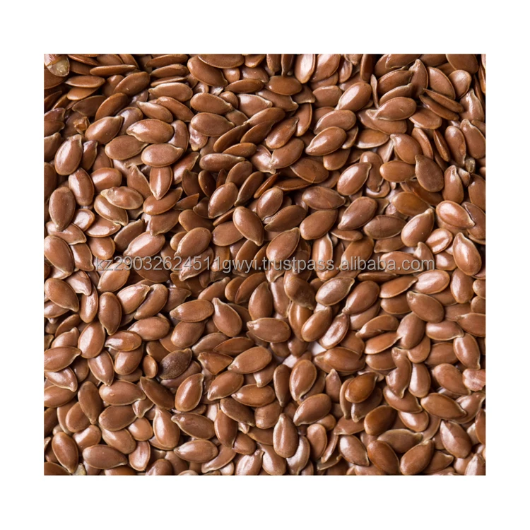 Best price hot sell Oil flax seeds for organic essential best selling product 2022 wholesale