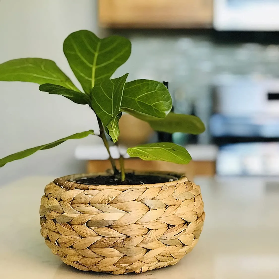 Cheap price water hyacinth plant pot flower eco friendly container pots made in Vietnam wholesale