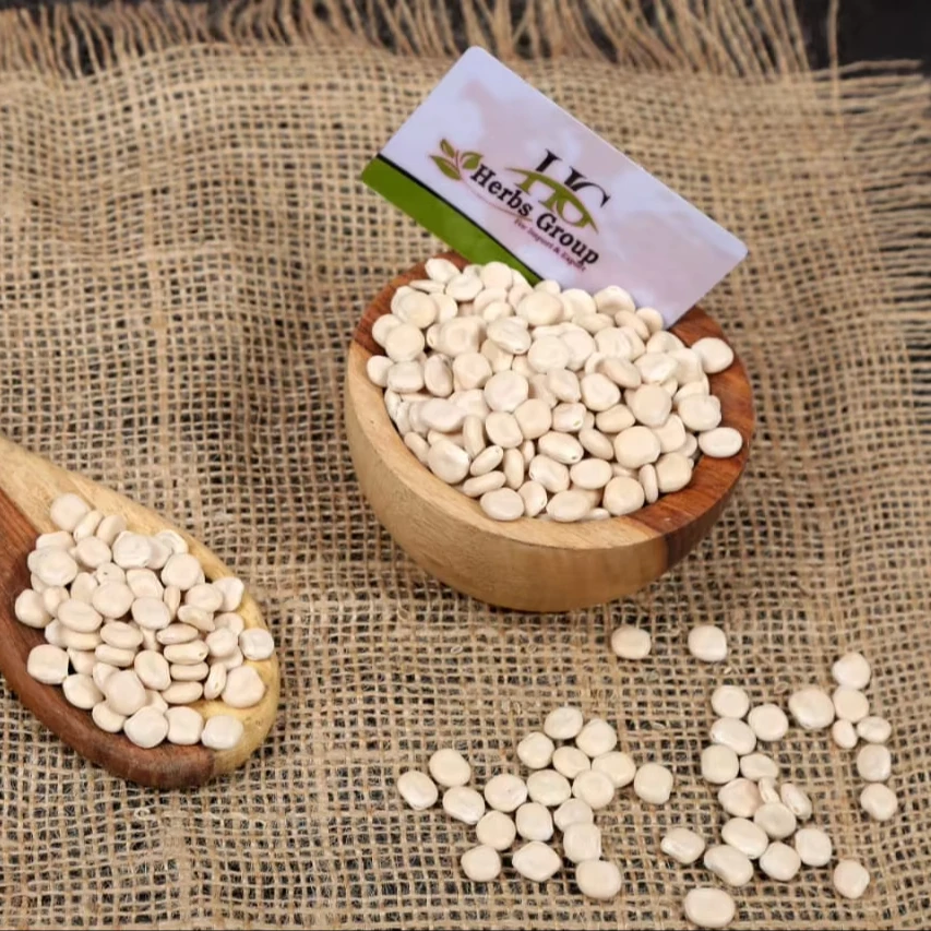Unshelled Fava Beans Single Spices & Herbs Product