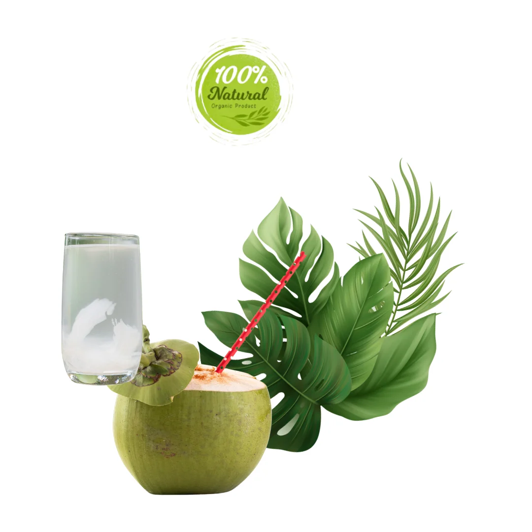 Explore the History of Vietnamese Fresh Coconut Through the Centuries