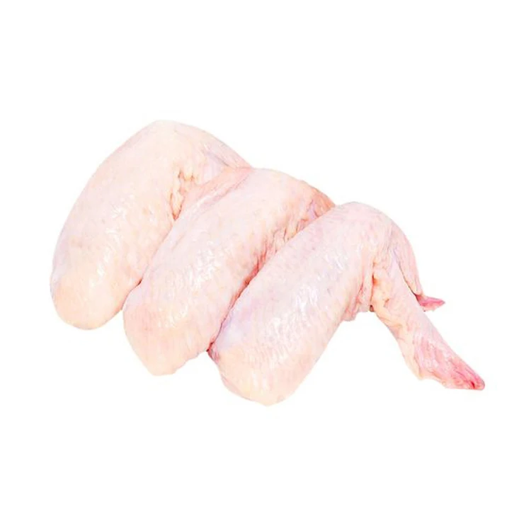 Brazilian Fast Selling Premium Halal Frozen Whole Chicken, Chicken Feet Paws Wings - Low fat chicken feet
