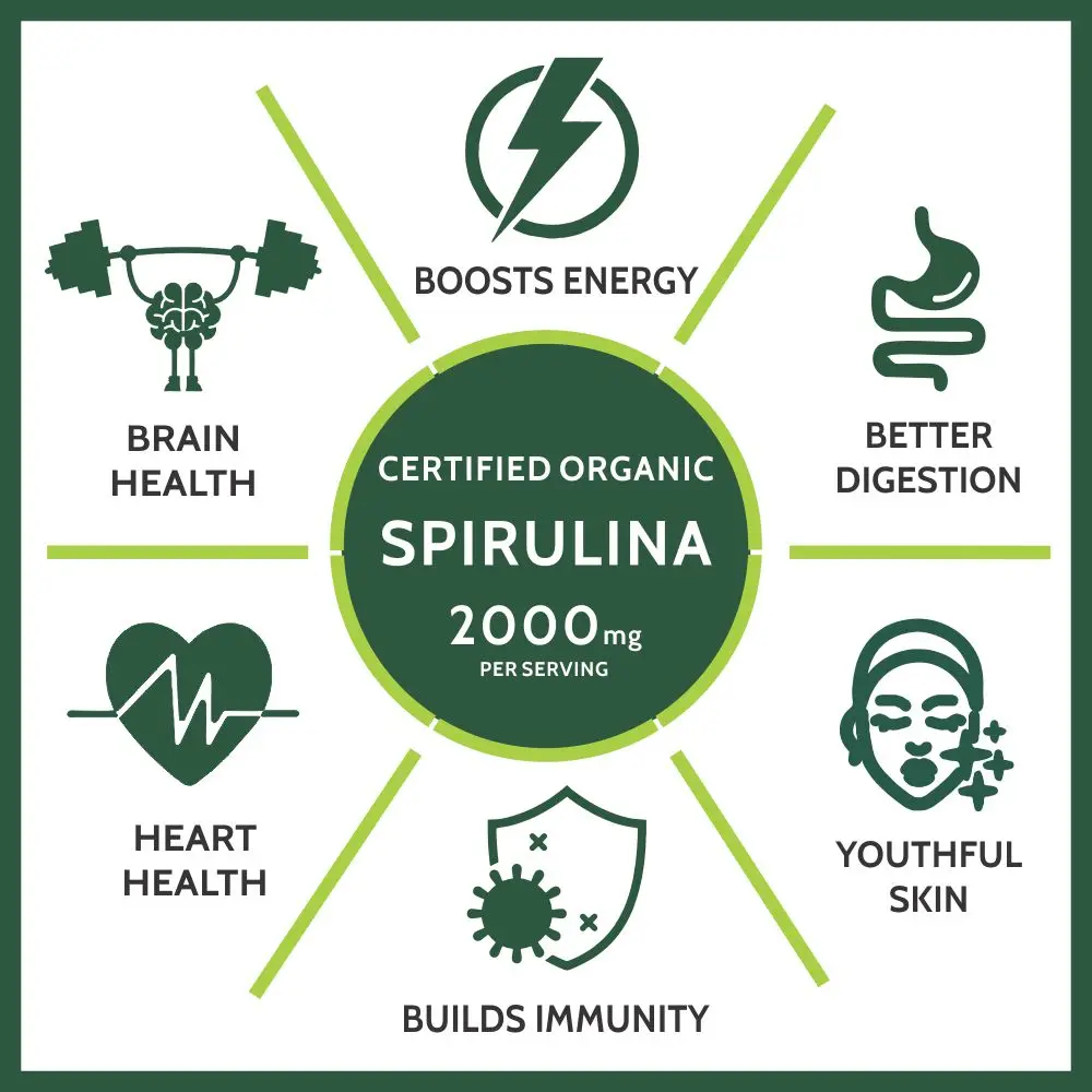 High Quality Nature Source Spirulina Tablets l 100% Organic Spirulina Tablets 2000mg Per Serving