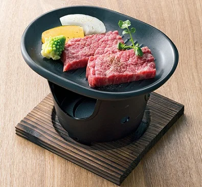 Japanese BBQ Small Type of Infrared Porcelain Plate for Grilling Foods looking for distributor in USA