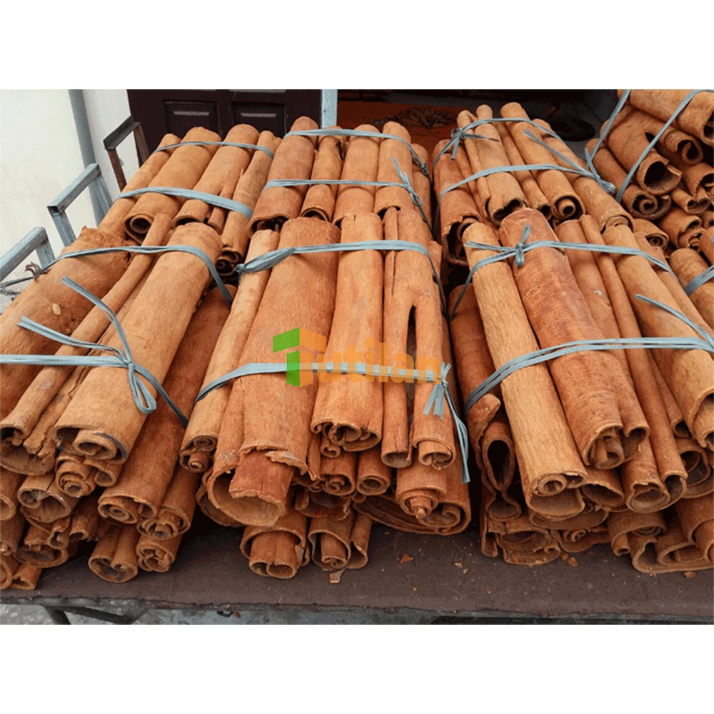 Wholesale Cinnamon Spices Stable Importer of Spices Quality Buyers of Cinnamon