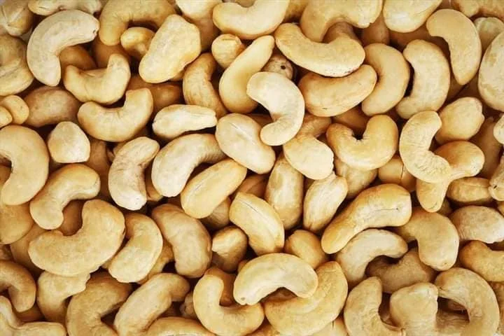 Premium Quality Grade A Cashew Nuts accept LC, DA, and DP terms of payment and provide free samples from the factory.
