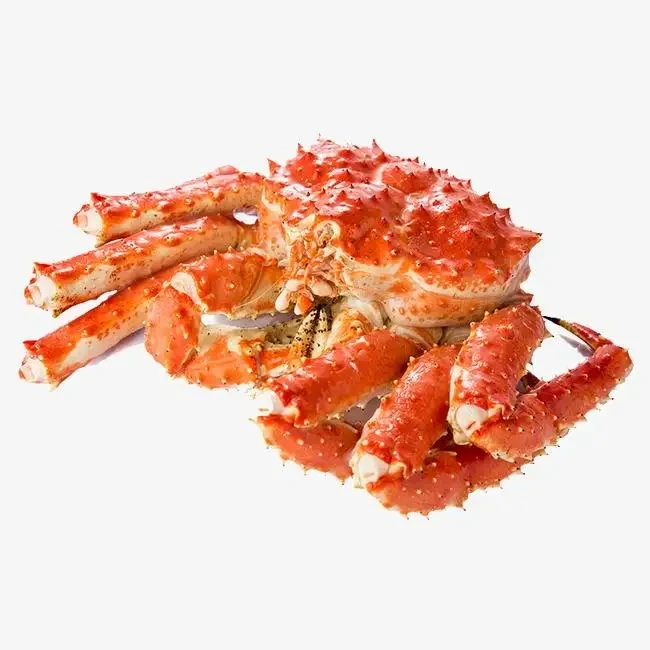 Frozen Shrimp Vannamei Block Vanhellon Shrimps 