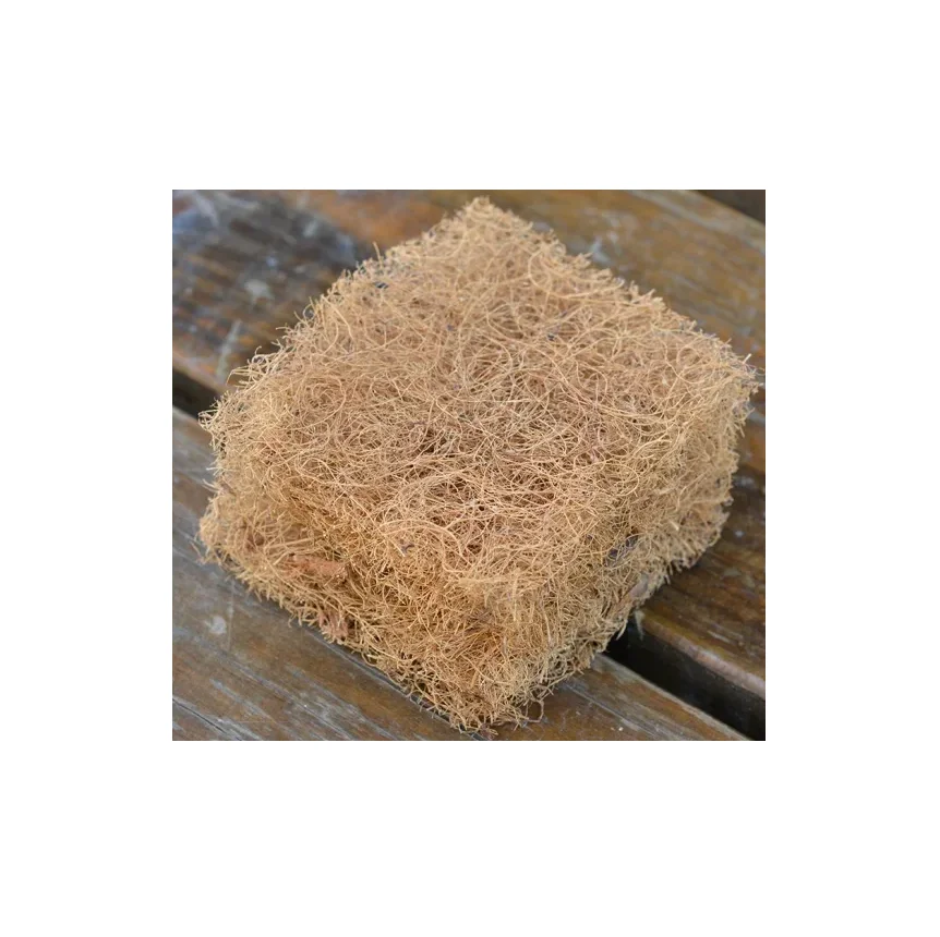 Best Quality Low Price Bulk Stock Available Of Coconut Fiber For Export World Wide From Austria