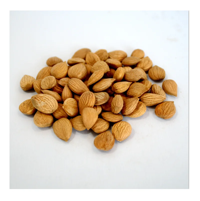 Organic Almonds Nuts Cashews Cashews Hazelnuts Pine Nuts Roasted Peanuts Walnuts
