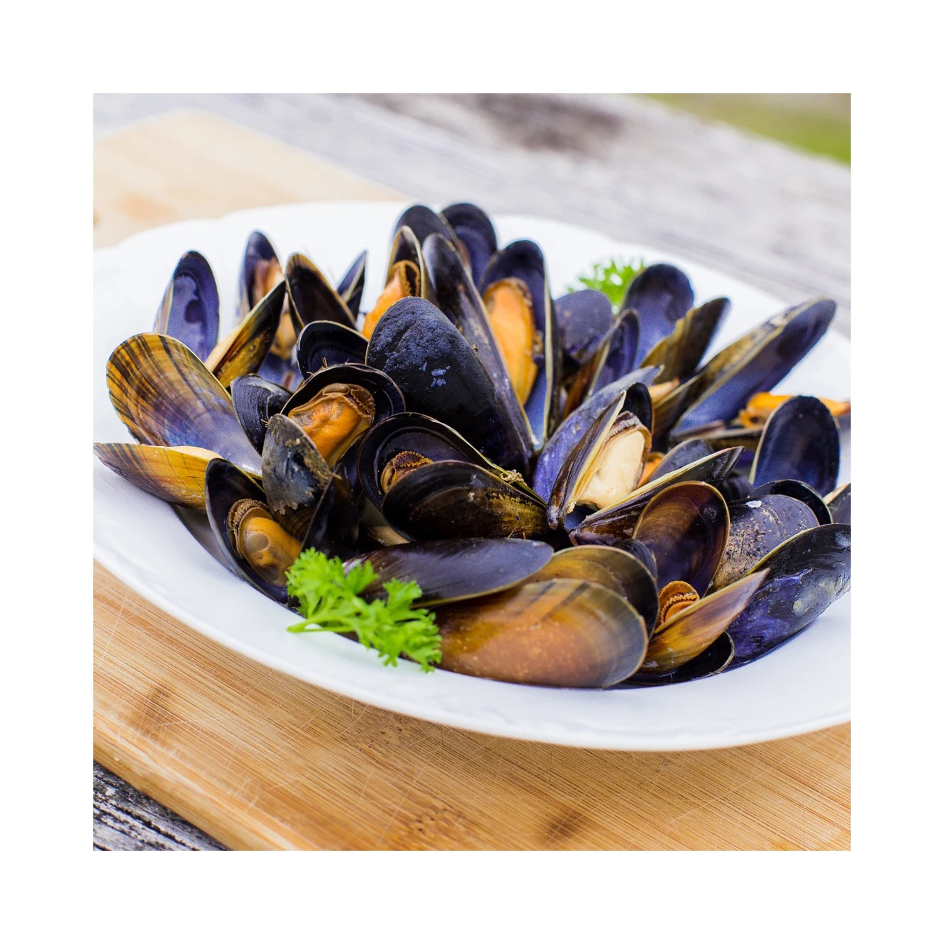 HOT Selling Frozen Shellfish Mussels High manufacturer Best material With cheap rate