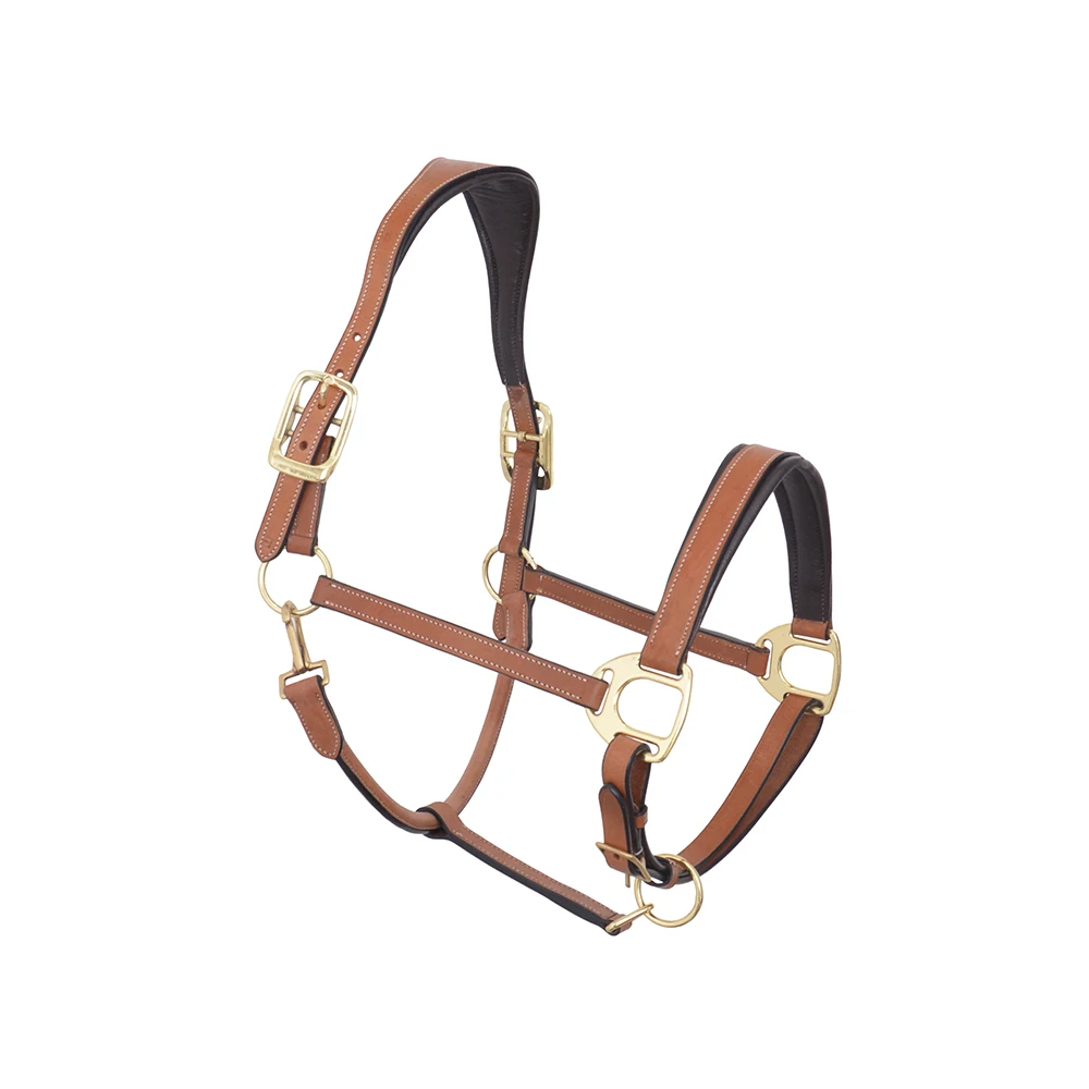 Horse Padded Halter Genuine Leather Fancy Stitched Leather Horse Halter Buy At Lowest Price On Bulk Order