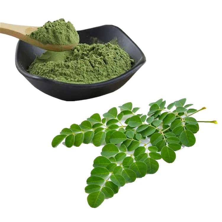 Factory Supply Food Grade Moringa Leaf Extract Moringa Leaf Powder Good For Health And Sugar Patient Origin Moringa Leaf Powder