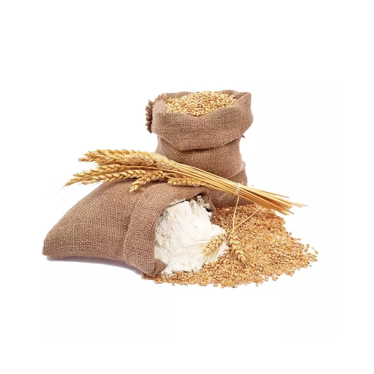 Bulk Quantity Wholesale Supplier Best Quality Organic Whole Wheat Grain For Sale In Cheap Price