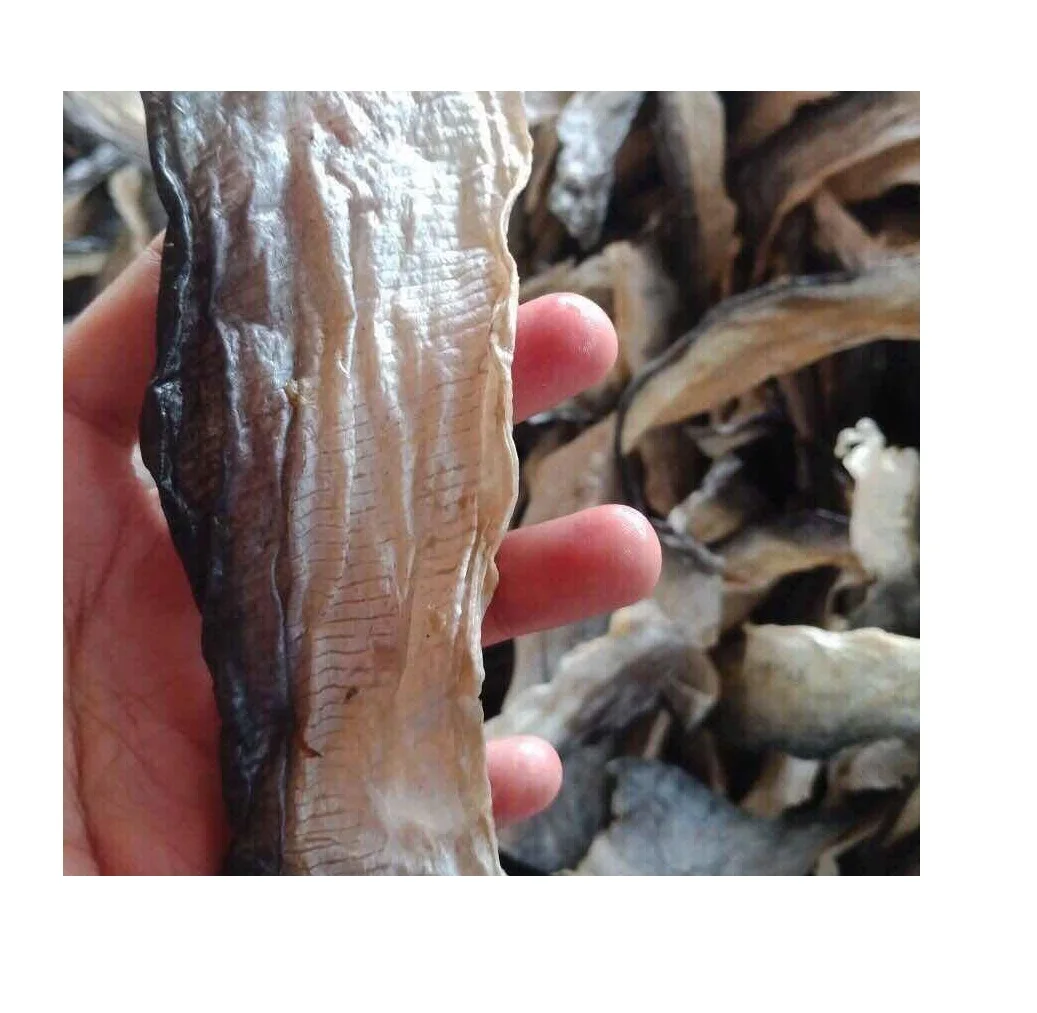 Dried Catfish Skin For Snack Dried Pangasius Fish Skin For Collagen Production 0084971886886