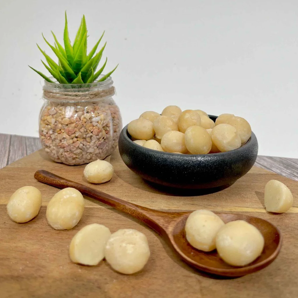 Premium Grade Macadamia Nuts Raw Roasted Nuts Healthy Food Macadamia in Shell 20-25mm