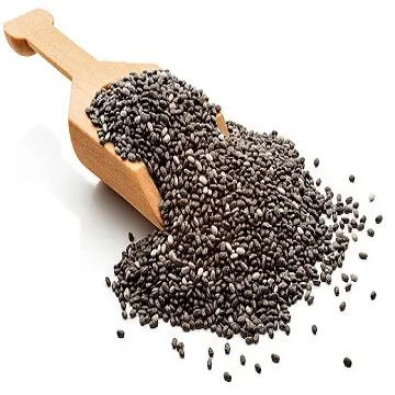 Bulk Chia Seeds Dried Seed for Sale at Good Price