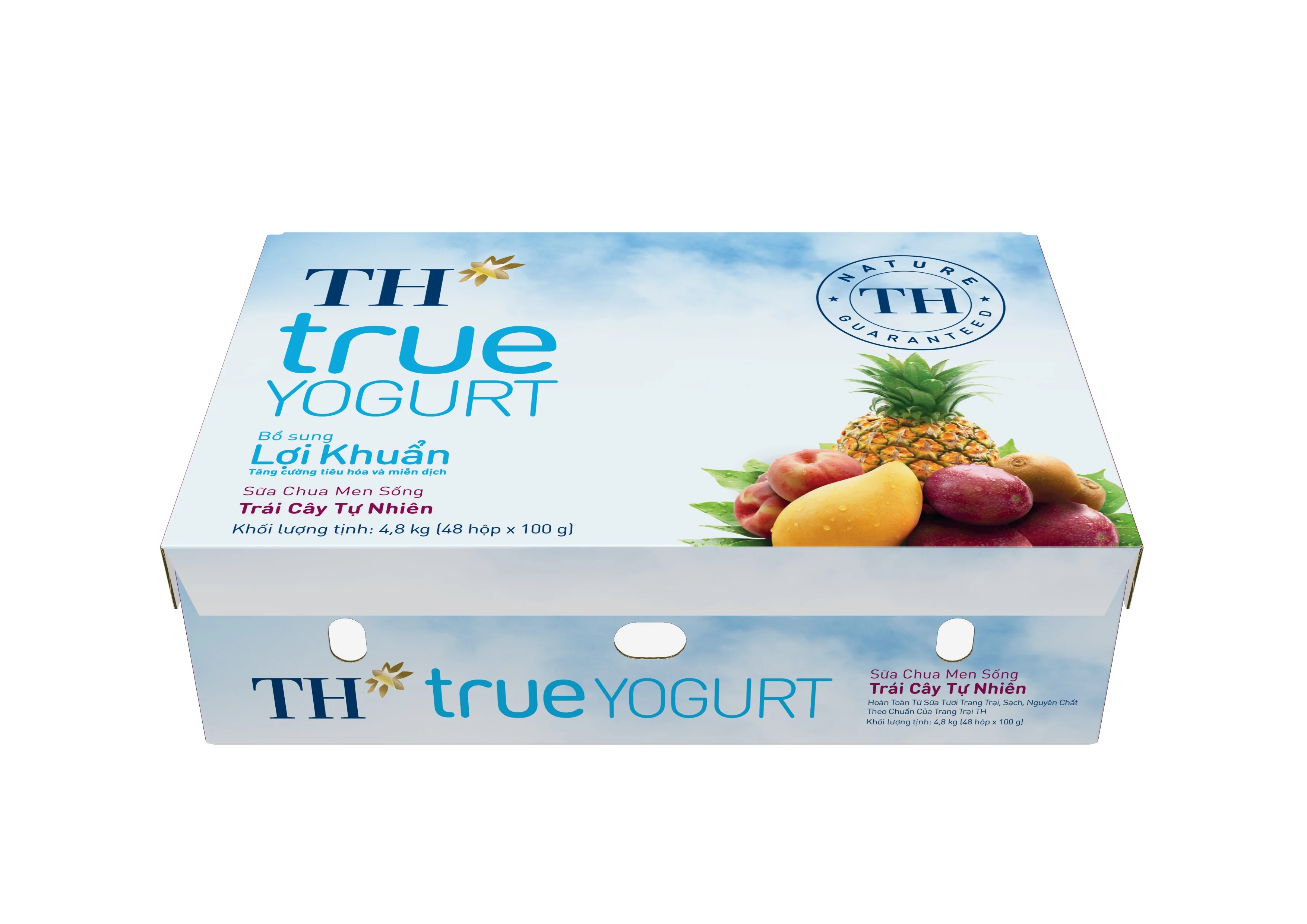 TH true YOGURT - Probiotic Yogurt - Natural Fruits 100gx48C Short Lead Time Dairy Products Yogurt with 45 Days Shelf Life