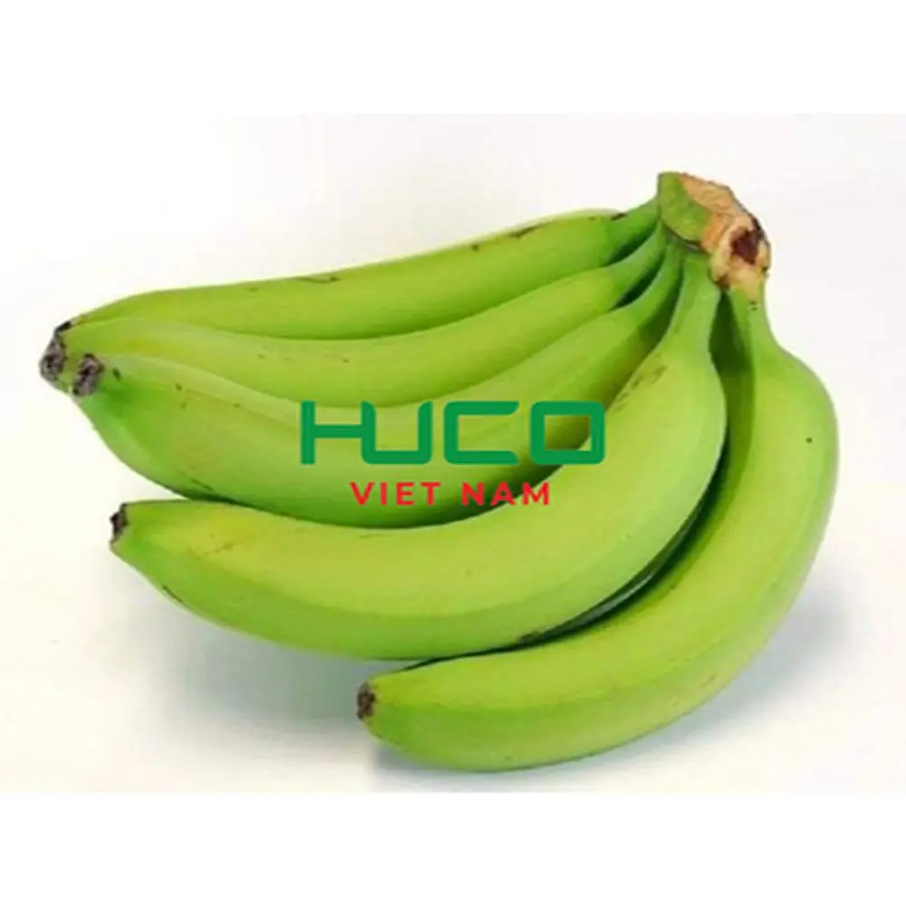 Best Price Tropical Banana Organic from Vietnam Fresh Natural Banana