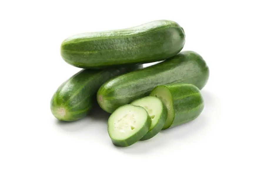 Big Sale for Fresh and Tasty Cucumber from Vietnam Organic Cucumber for EU USA Japan UAE Market Natural Fresh Cucumber Frozen