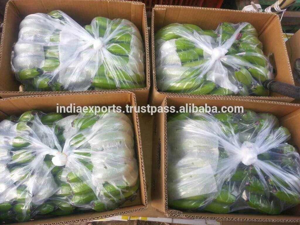 2022 Made In India 100% Natural FRESH TROPICAL BANANA from Kinal Global Care for Food & Beverage