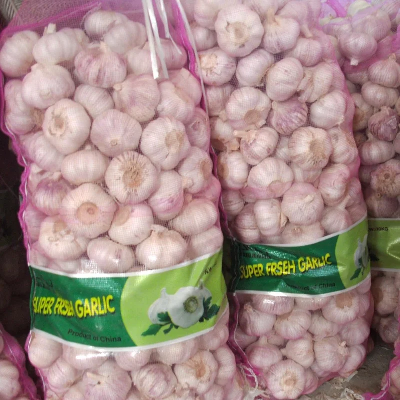 fresh pure /normal white garlic for export mesh bag