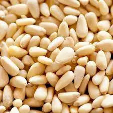 Organic Pine Nut Kernel For Sale