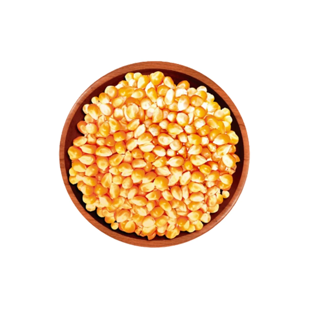 Best Quality Yellow Corn Animal Feed Yellow Corn Maize Available At Wholesale Price