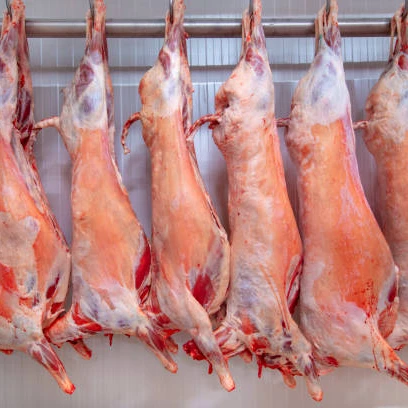 HALAL FRESH / FROZEN GOAT / LAMB / SHEEP MEAT