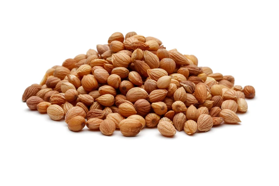 Hot Sale Mahalab Natural Spices Mahaleb cherry ,Mahaleb Seeds And Spices From Turkey High Qualth Mahalab