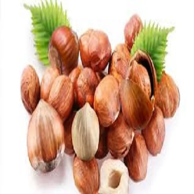 Wholesale Quality Raw Hazelnut Kernels In Shell organic Hazelnut 100% Natural Premium Quality hazelnut organic food color.
