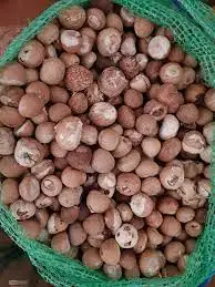 Оптовая цена Высокое качество Pinang raw bettel сушеные индонезийские орехи betel areca nut