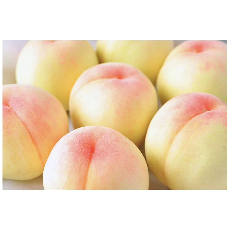 Лидер продаж сублимированный фрукт Красный персик лучшее качество органический натуральный свежие фрукты для продажи