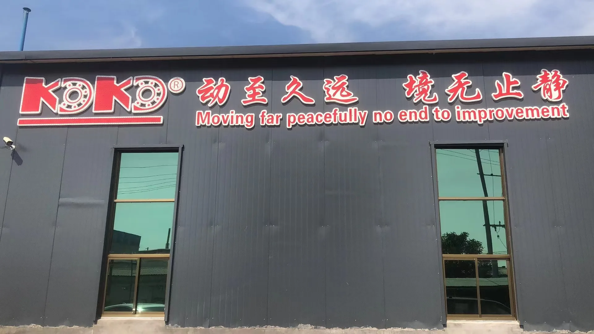 Caged Ball Bearings OD 38mm ( 8 PCS ) Rear Bike Wheel Hub Headset Crankshaft