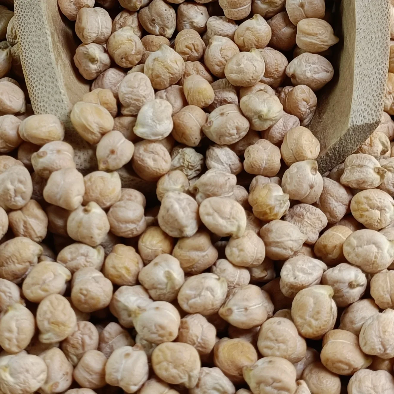 Premium Ethiopian Kabuli Chickpeas  Latest Harvest, Direct from Farm, High Quality, Machine Cleaned for Export