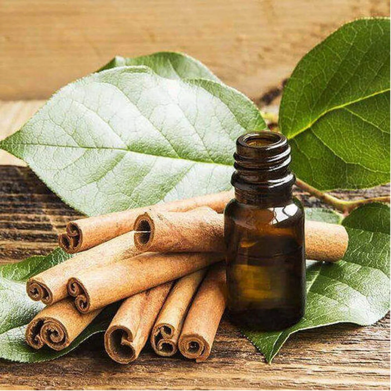 High Quality 100% Pure Organic Cinnamon Leaf Essential Oil Food Grade 30ml Bottle Size for Hair Low Price Direct from India