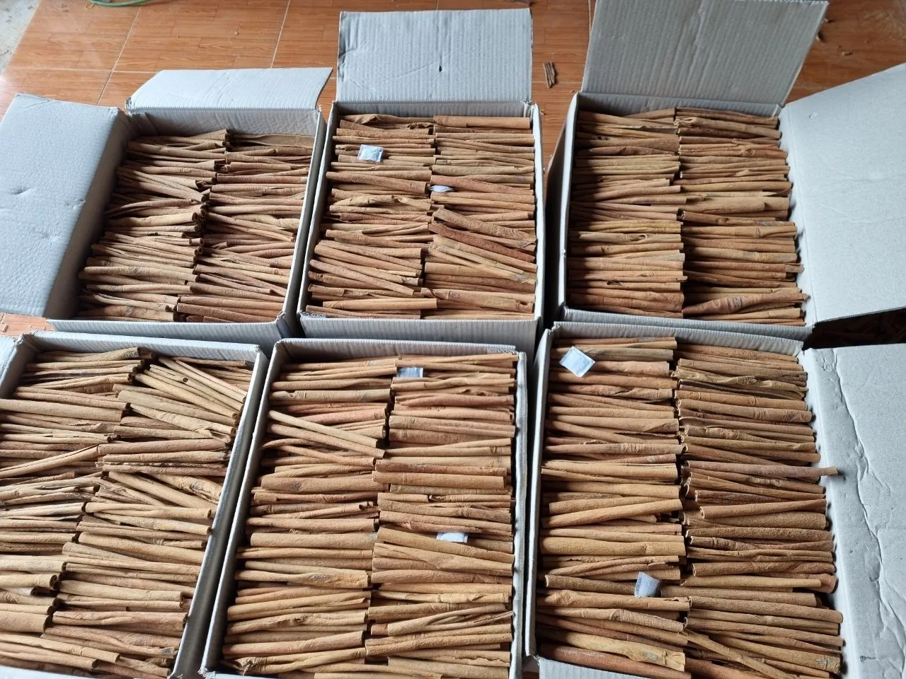 Lauraceae /Cinnamon Danish / Sai Gon Cinnamon/ Ecorce de Cassia Cinnamon