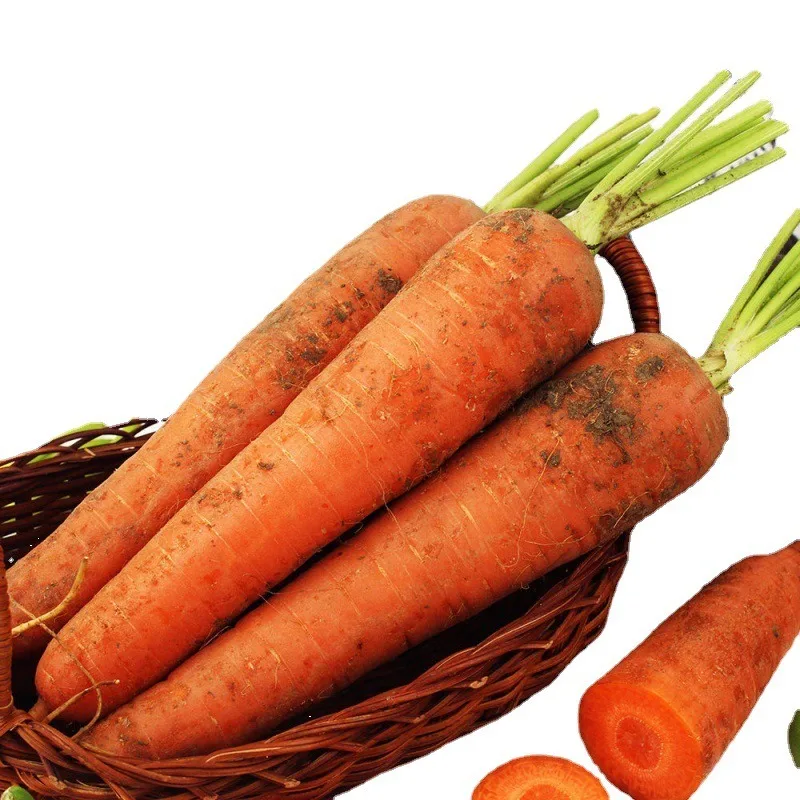 Экспорт свежих овощей, высококачественный оранжевый натуральный сладкий свежий Морковь из Вьетнама для экспорта