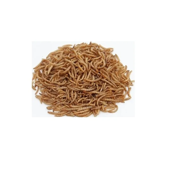 Pets High Protein Meal Dried Mealworms