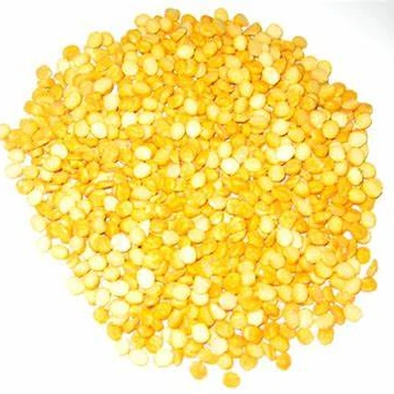 Yellow Corn / Maize & White Corn / Maize for Human & Animal Feed