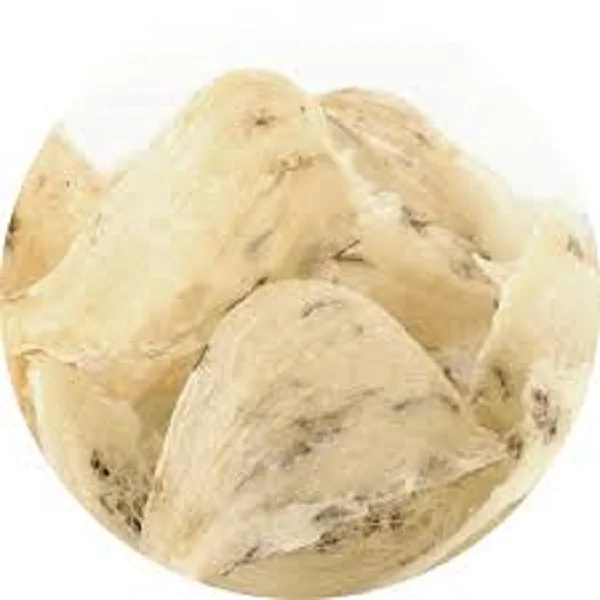 100% Medical grade Type B Medium Size Fairly Uniform Anti-aging Raw Bird Nest From Vietnam