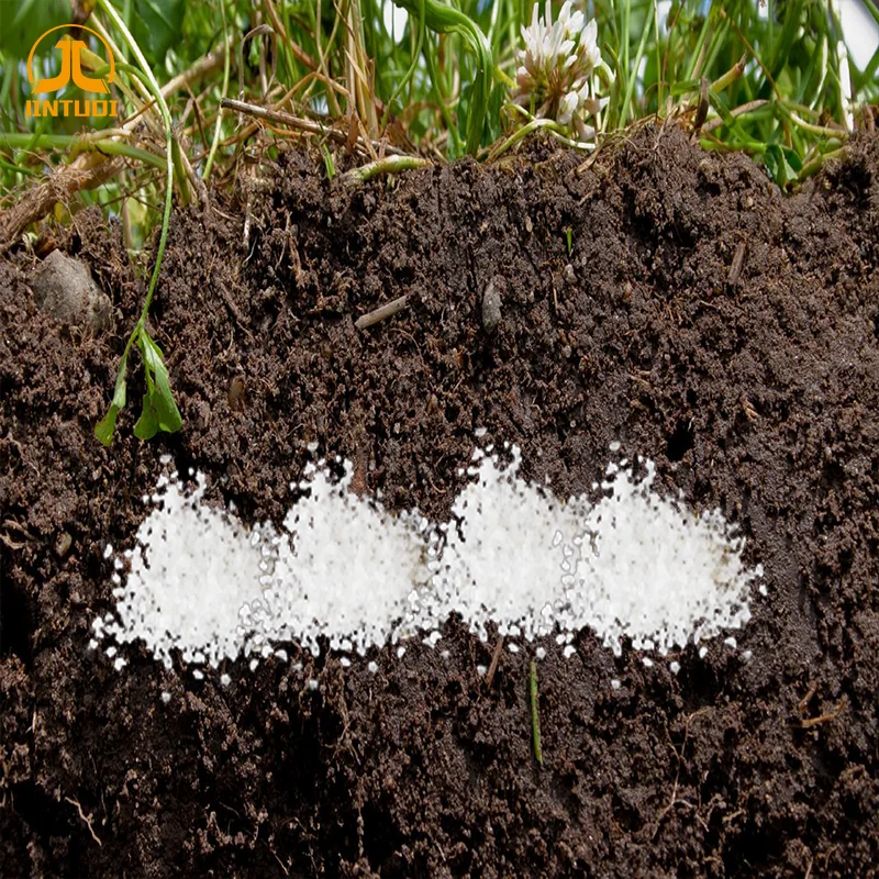 Biodegradable Super Absorbent Polymer Agricultural Sap