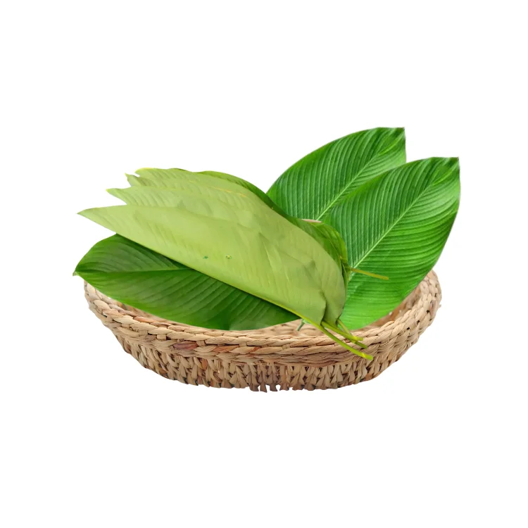 Dong Leaf For Wrapping Food Eco Friendly And Decorating Food For Food Stuff Replace To Plastic Bag Biodegradable Supplier