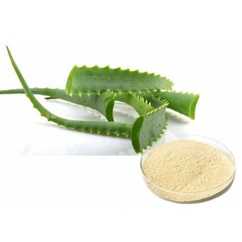 100% Organic aloe vera extract powder brand Mekong Herbals Origin VietNam