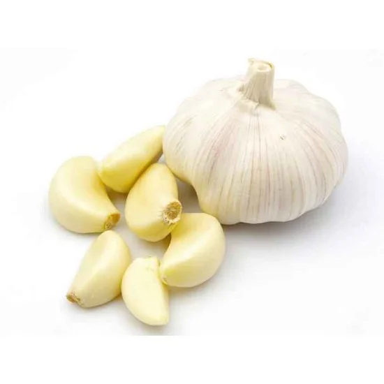 Premium Quality Fresh Garlic Pure White Best Market Price for Food Use