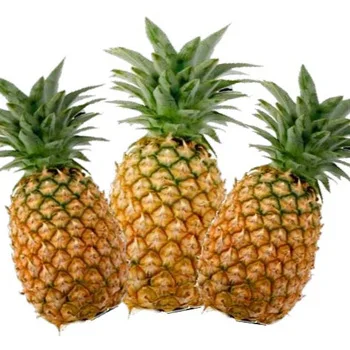 Fresh Mild Sweet Pineapple MD2 Honey Golden Pineapple From Vietnam