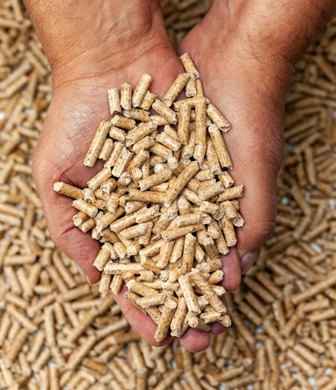 wood pellets1.jpg