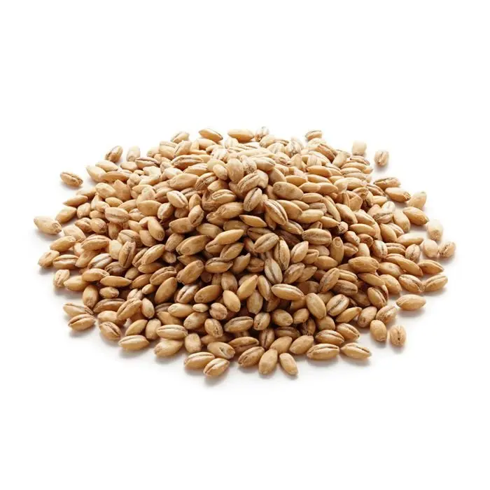 Australian Malting Barley