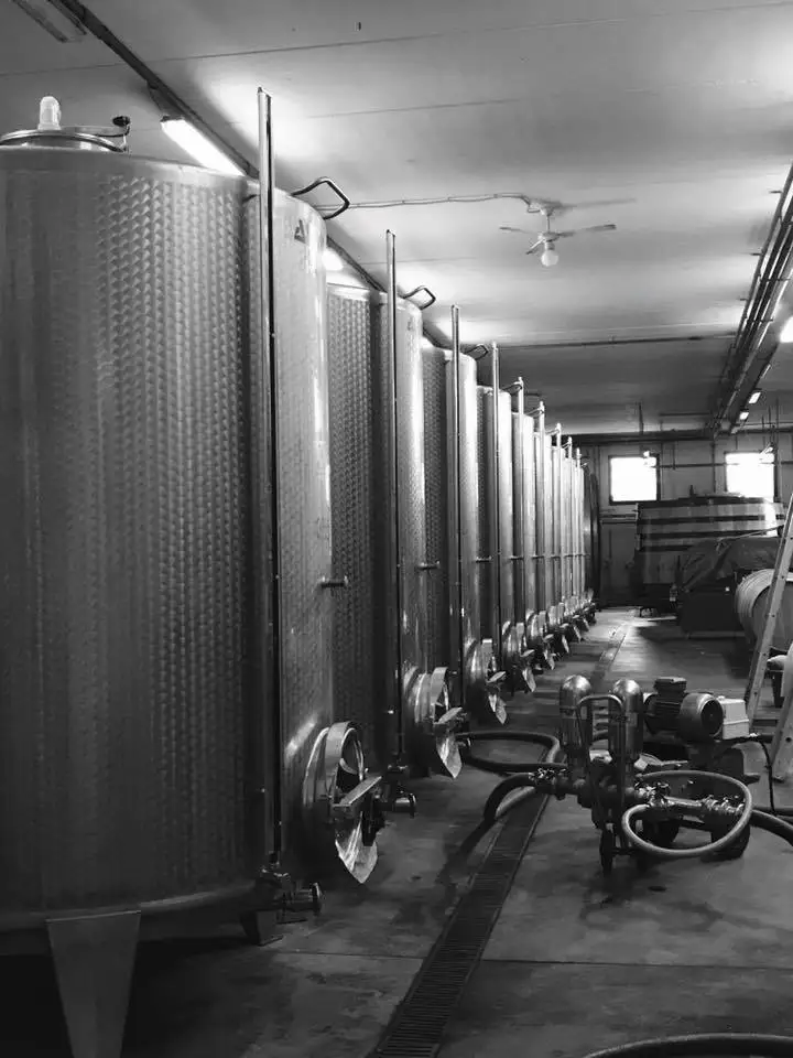 Лучший выбор белого вина Chardonnay Italia